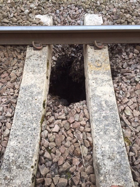 Sleights-Whitby rail line closed for emergency repairs: Collapsed culvert near Sleights