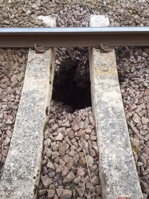 Collapsed culvert near Sleights