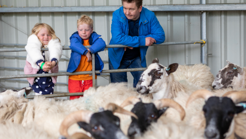 Woolly Weekend