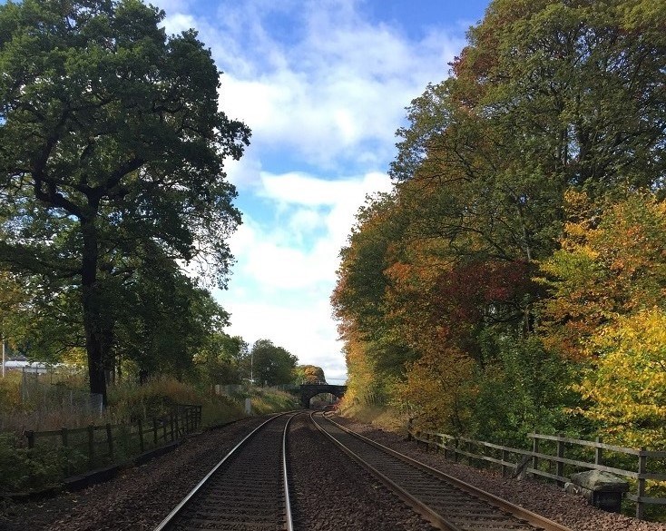Why leaves on the line is no joke for Scotland’s railway: Dalgety Bay 04.10 (1)