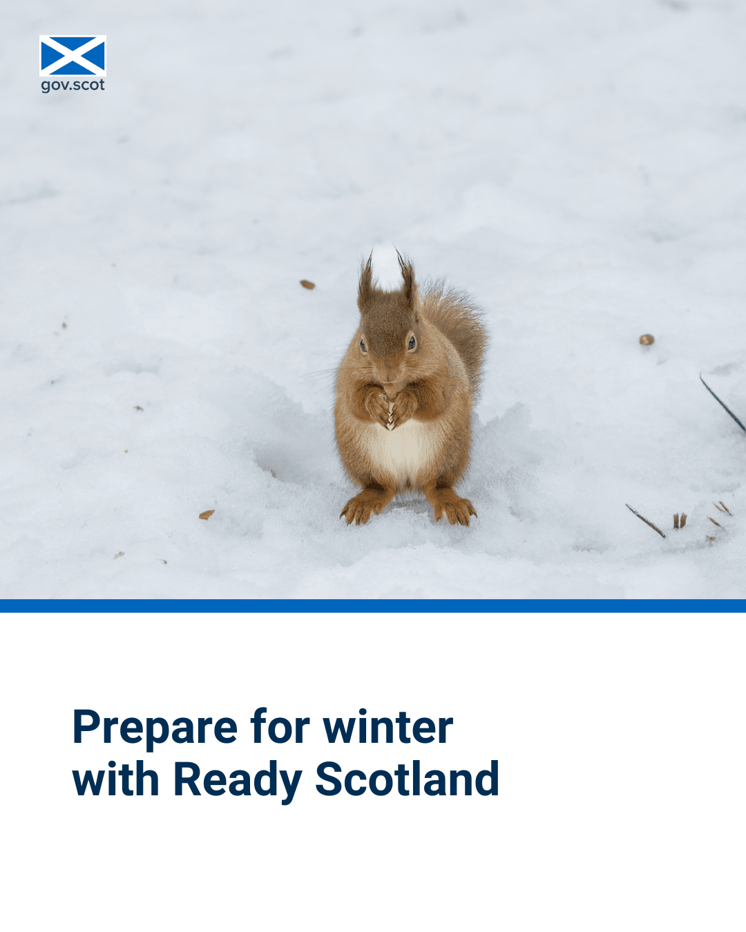 Squirrel - Portrait - Winter - SG Resilience - November 2025