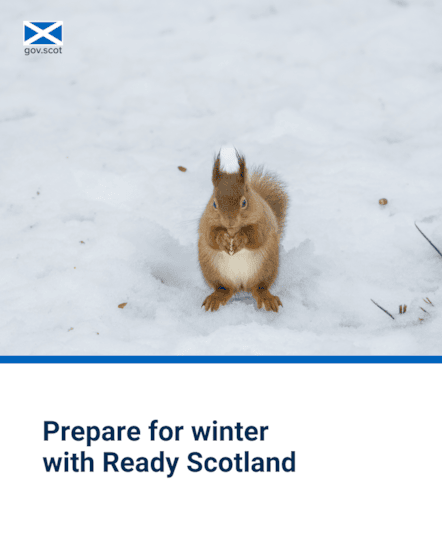 Squirrel - Portrait - Winter - SG Resilience - November 2025