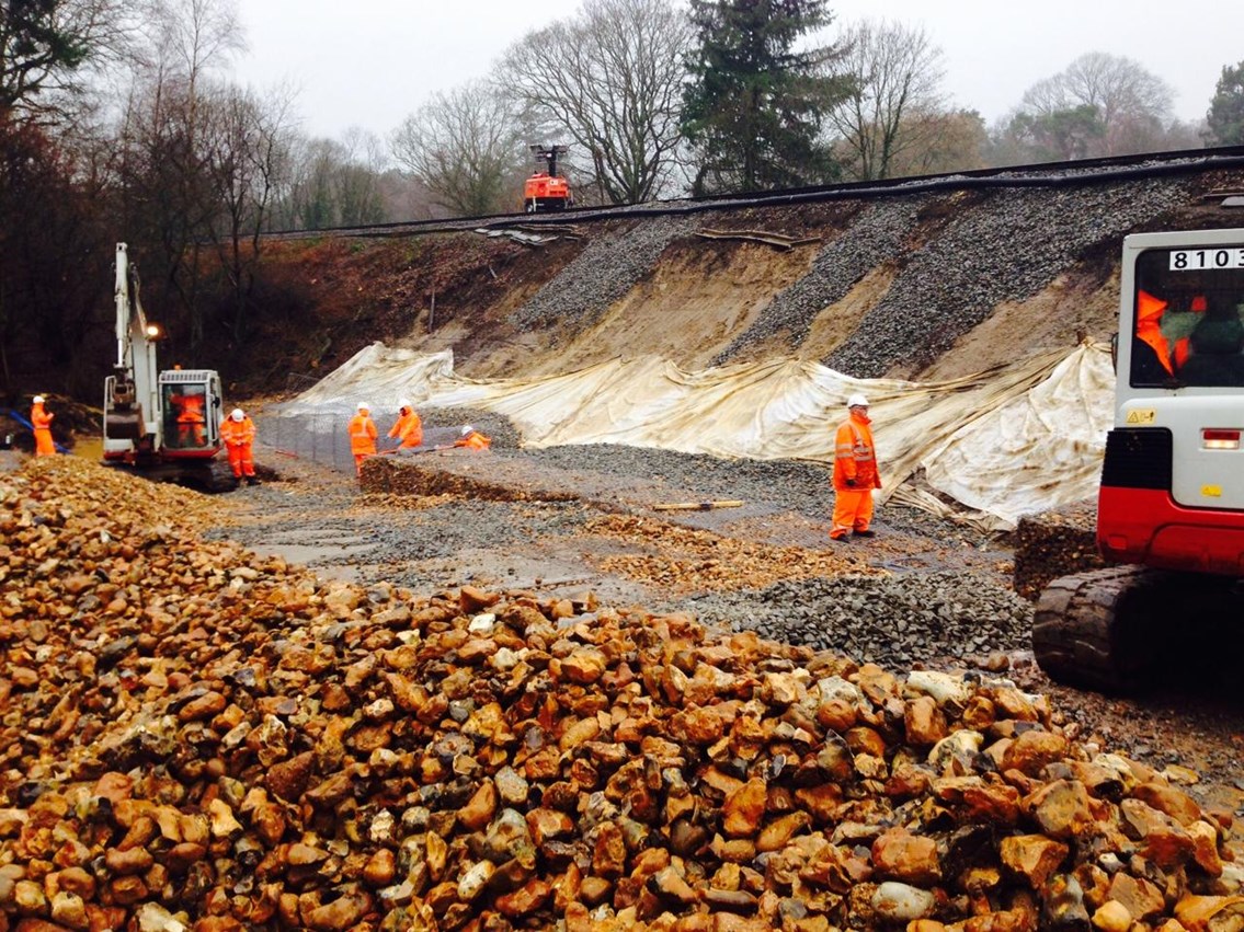 Liphook Landslip: Liphook Landslip