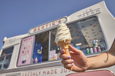 Ice Cream at Bertie's