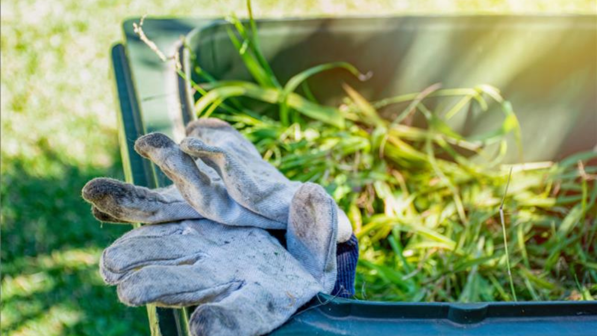 Garden Waste Collection 2026