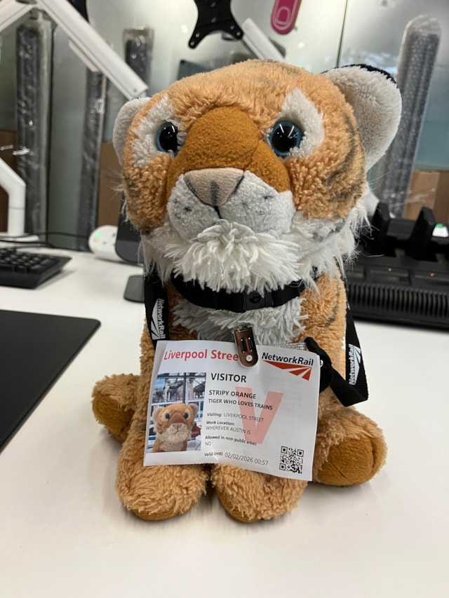 Stripey with his own visitor badge