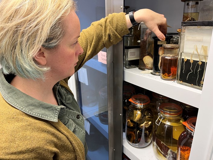Store 2 at Leeds Discovery Centre: Clare Brown, Leeds Museums and Galleries' curator of natural sciences with some of the hundreds of specimens housed in Store 2 at Leeds Discovery Centre, home to parts of the collections so dangerous, they need their own room.