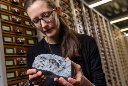 National Museums Scotland's Dr Elsa Panciroli examines two krusatodon kirtlingtonensis fossils. Photo (c) Duncan Mc Glynn (5)