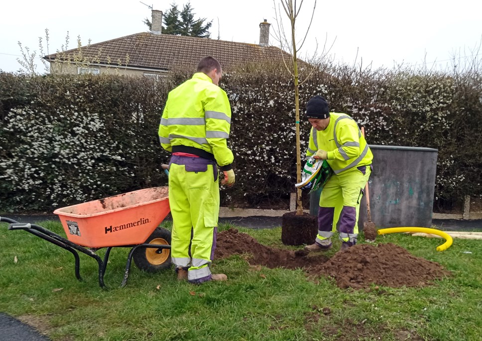 Michael and William in the highways team planting trees along Blandford Road in south Reading. A joint project between the Council's parks and highways departments