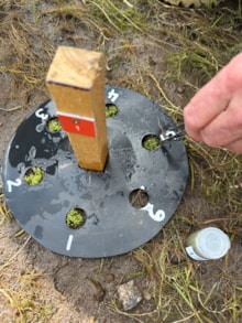 Planting out round leaved bryum credit Becca Galloway, Royal Botanic Garden Edinburgh