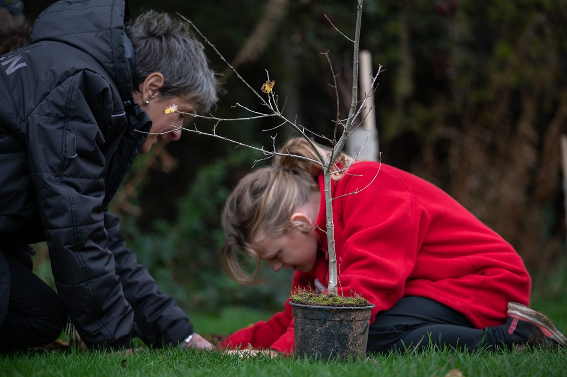 A student at Corley Academy planting trees donated by HS2