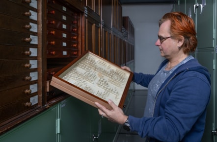 Dr Vladimir Blagoderov, Principal Curator of Invertebrates at National Museums Scotland examines moths which will be digitised as part of the DiSSCo UK project. Image copyright Neil Hanna (7)