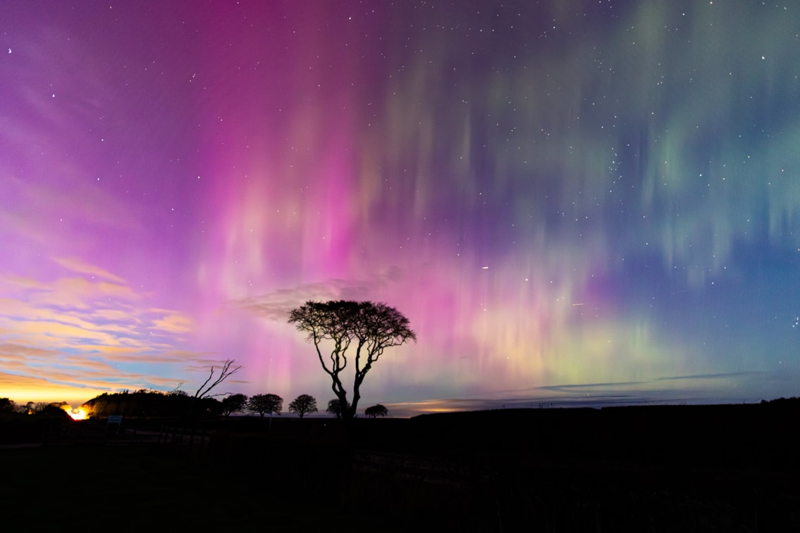 Lynne Muir Anstruther 3rd Northern Lights Beerbo Farm 5mb