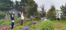 Thurso Community Garden yoga: Thurso Community Garden yoga