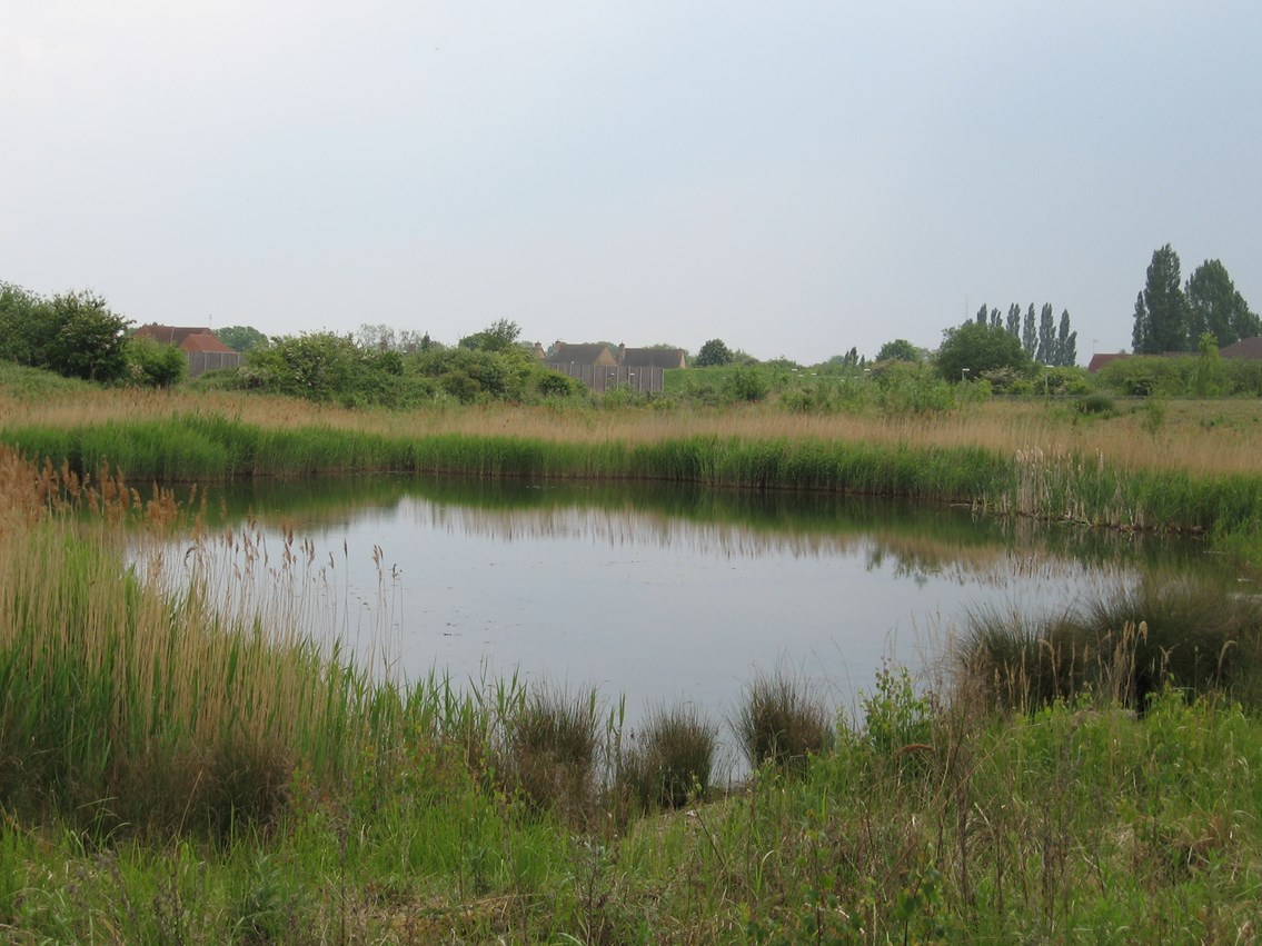 Whitemoor Yard ponds: As part of Network Rail's commitment to the environment, a number of ponds were created when Whitemoor Yard was reopened in 2004.