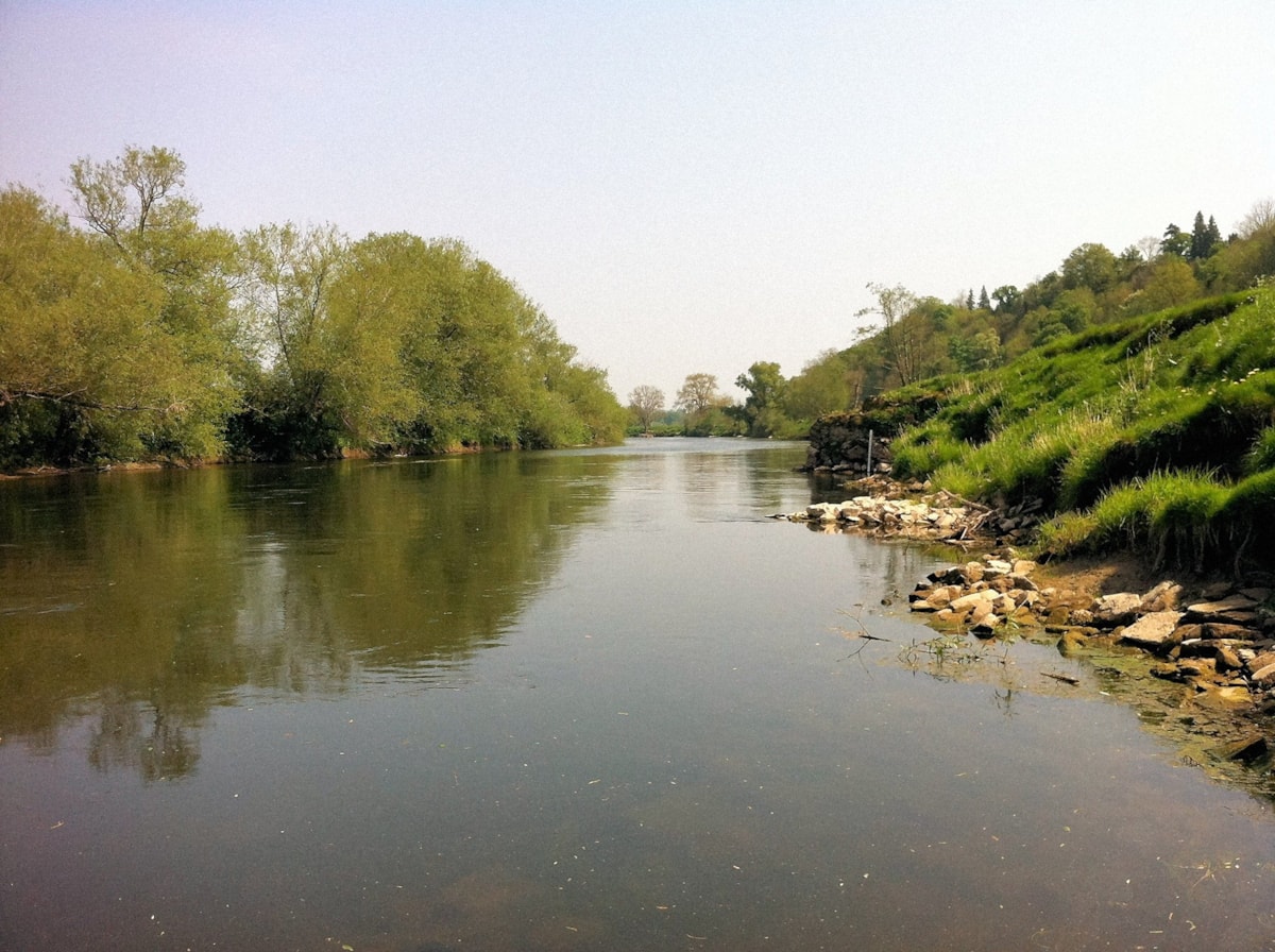 River Wye - Forest of Dean