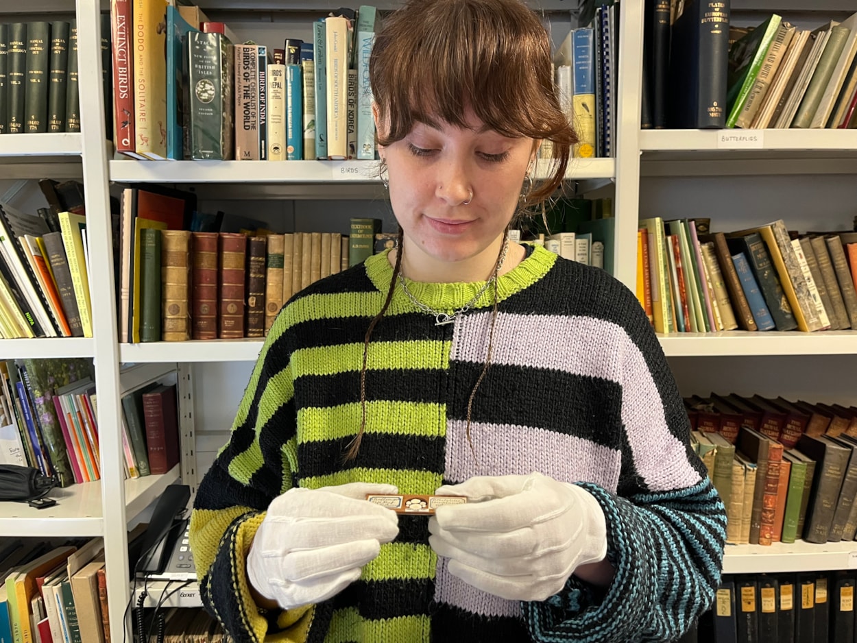 Microscope slides: Lizzie Gothorp, Leeds Museums and Galleries’ project placement with the microscope slide containing a microscopic sea creature found during one of history’s most renowned and influential scientific voyages are also among the amazing array of slides.
The HMS Challenger left Sheerness on the north Kent coast in 1872, embarking on an unprecedented mission to circumnavigate the globe and comprehensively explore the deep seas for the first time.
Examples found in the Leeds collection today include small disc-like fossils called orbitolites which were gathered 18 fathoms down off the coast of Fiji.