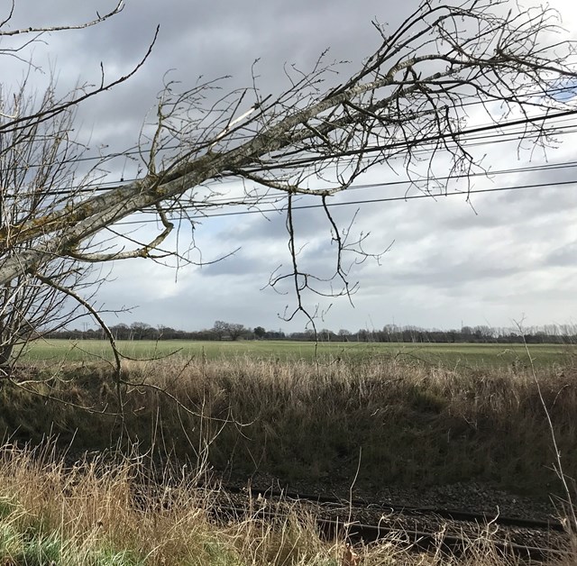 UPDATE: Storm Franklin: Train services between London and Norwich suspended as tree falls on line: Storm Franklin-2