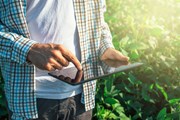 tablet stock image: tablet stock image