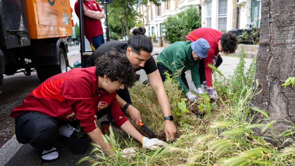 Arsenal Tree pit planting