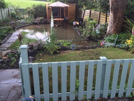 Picture of a garden after flash flooding