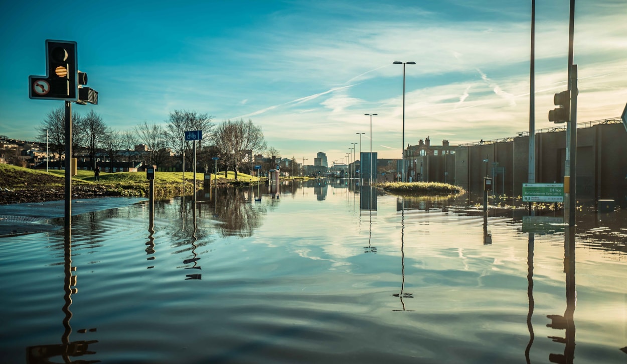 Ben Daure Kirkstall Rd A2 with eyelets