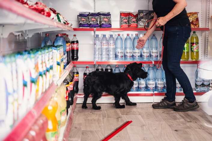 Search dog - credit Lincolnshire police Martin Birks: Search dog - credit Lincolnshire police Martin Birks