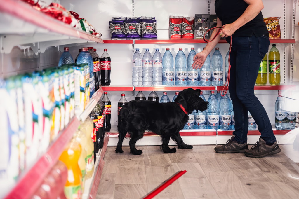 Search dog - credit Lincolnshire police Martin Birks
