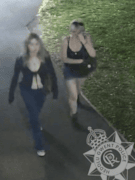 sexual assault appeal Chepstow 2500196910: sexual assault appeal Chepstow 2500196910
