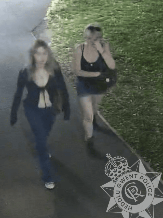 sexual assault appeal Chepstow 2500196910