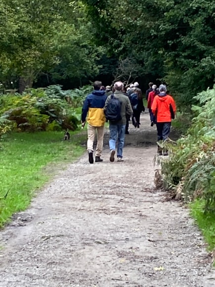 Enhancing pathways at Cobham Woods, Kent