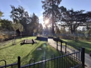 Garden - early morning: Garden - early morning