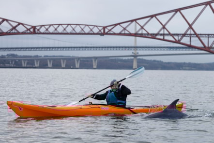 Derek the dolphin interrupts National Museums Scotland’s photoshoot. Photo © Duncan McGlynn