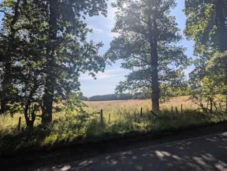 A new cemetery is being built in Elgin on this site.