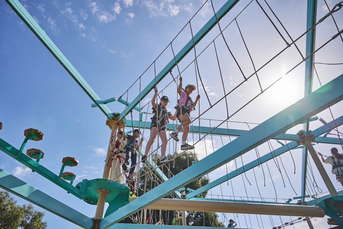 Caister-on-Sea Aerial Adventure