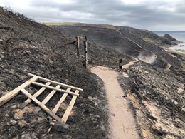 Burnt Landscape from Ant and Theresa