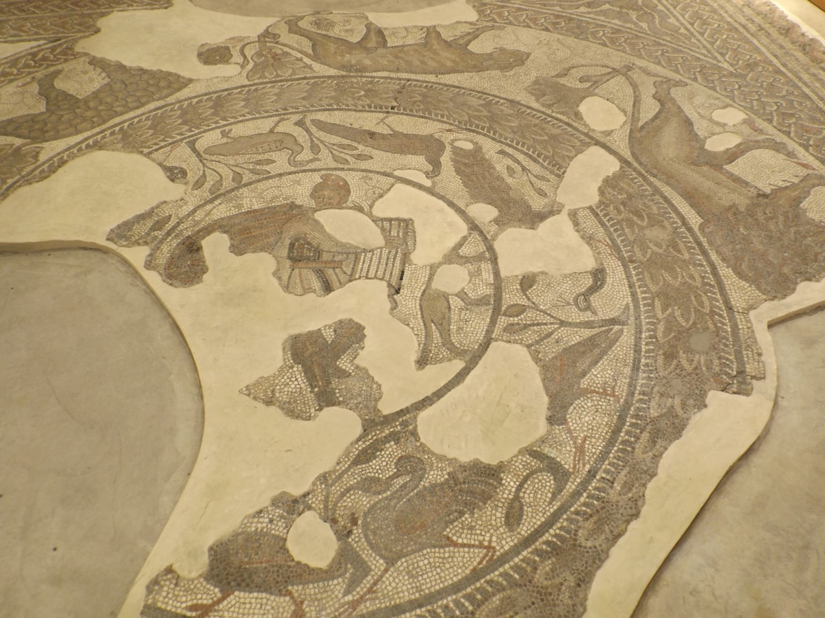 Part of the Orpheus Mosaic at the Corinium Museum 3