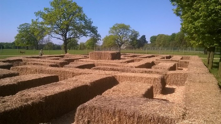 A-maze-ing new attraction for Lotherton Hall this Bank Holiday : maze.jpg