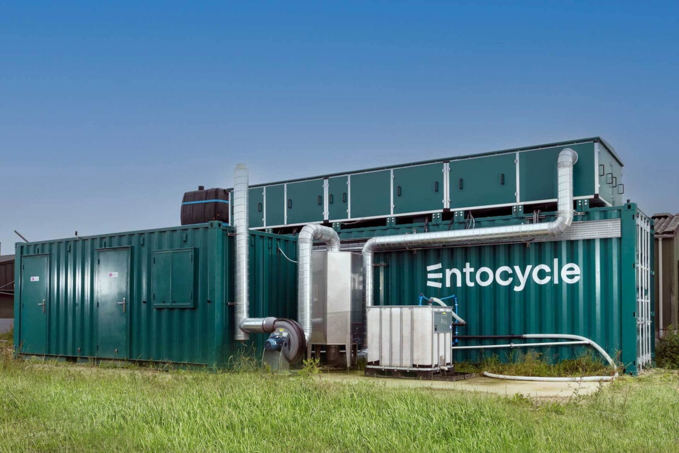 Entocycle-lab-scale-insect-rearing-unit-2025