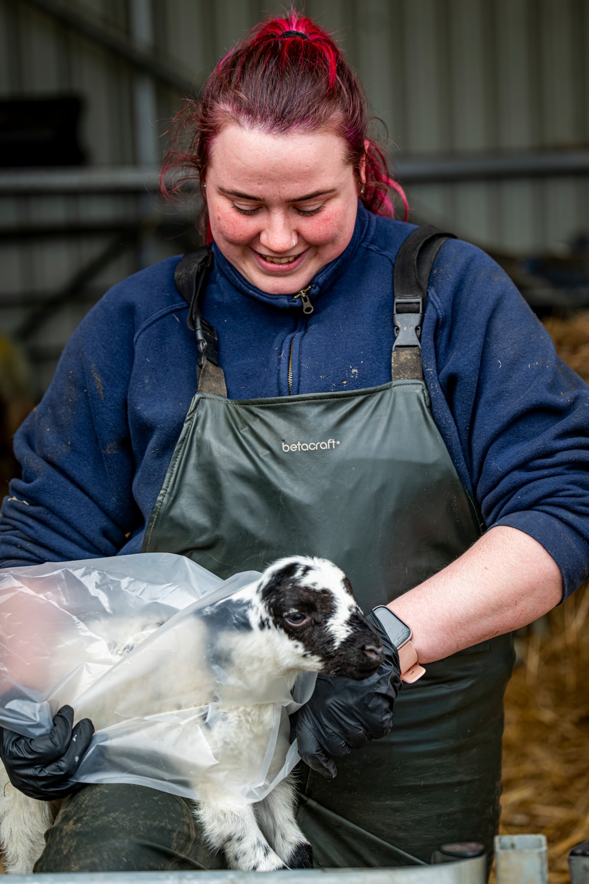 Assistant Stockperson Carly Hood fits a 'raincoat' on a lamb at the National Museum of Rural Life. Photo © Andy Catlin (2)
