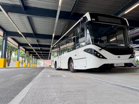 Bus