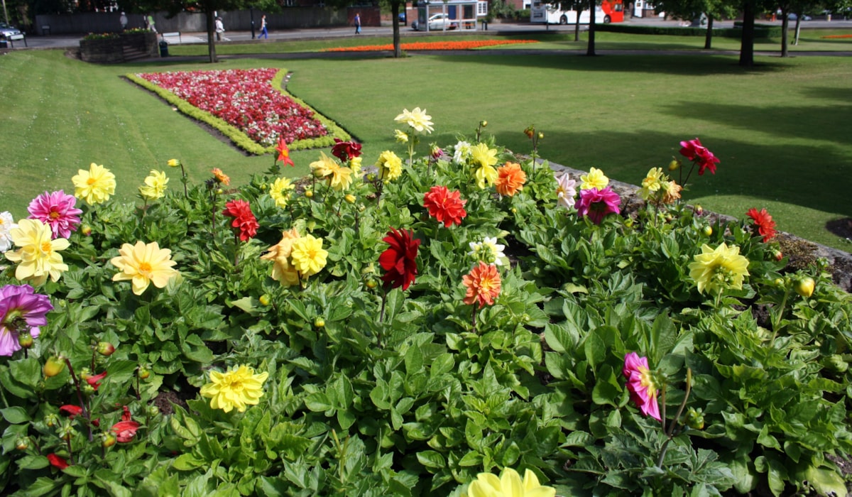 Coronation gardens-3