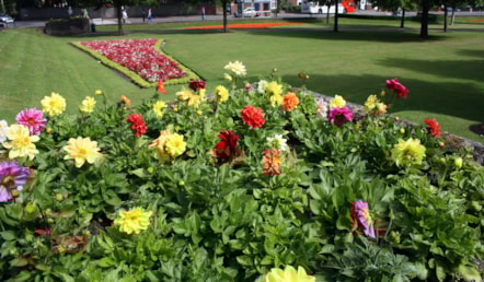 Coronation gardens-3