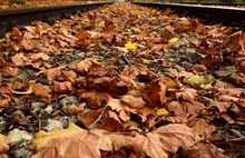 autumn railway