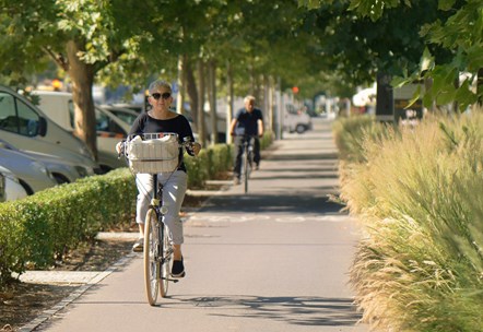 Senior man and woman cycle path