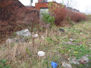 Deepdale clean-up_1: Some of the rubbish littering the line.