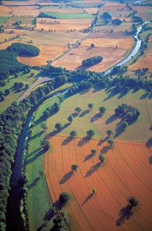 River Tweed - Arable farmland by the River Tweed, Borders. ©Patricia and Angus Macdonald-NatureScot