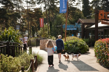 Park walk at Wild Duck