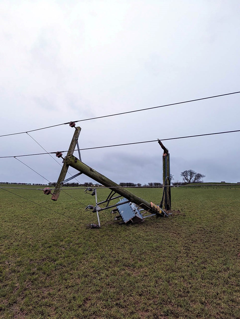 Pole damage Southwaite, Cumbria 2 small