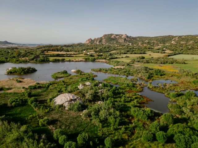 Riserva Saloni